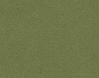 [1001111139_13] Tessera Create Space 1 - 1823 jadeite